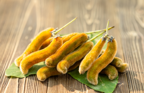 Unlocking Mucuna Pruriens Benefits: The Science of the 'Dopamine Bean'