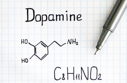 How to Boost Dopamine Naturally: The Best Supplements & Ingredients